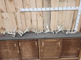 3 Sets Of Whitetail Shed Antlers 15.8 Lbs