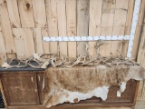 26.4 Lbs Of Fallow Deer Antlers