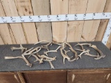 9.8 Lbs Of Fallow Deer Shed Antlers
