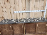 14.4 Lbs Of Whitetail Antlers