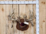 Ralph Trethewey Antler Sculpture 