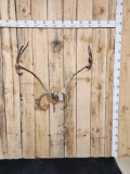 Caribou Antlers On Plaque