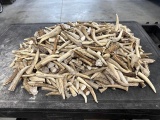 30 Lbs Of Whitetail Deer Antler Tines