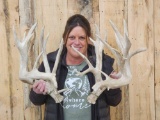 300 Class Whitetail Shed Antlers
