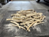 21 Lbs Of Elk Antler Tines