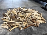 16lbs 13oz Of Elk and Moose Antler Tines
