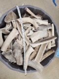 94 Lbs Of Elk Antler Dog Chews