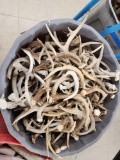 73 Lbs Of Deer Antlers