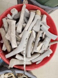 94 Lbs Of Elk Antler Chunks