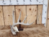 74