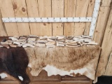 25 Lbs Of Moose Antler Dog Chews