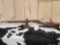 Winchester Model 1890 .22 Short Pump Rifle