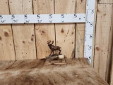 Fixed Blade Bone Handle Knife With Moose Sculpture