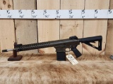 Arizons Armory AA10 .308 Semi Auto Rifle