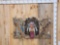 Rustic Native American Display