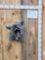 The Big Bad Wolf Reproduction Shoulder Mount Taxidermy