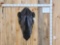 Reproduction Black Rhinoceros Shoulder Mount Taxidermy