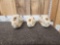 3 Black Bear Skulls Taxidermy