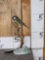 Great Tit Full Body Bird Taxidermy