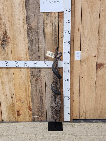 Reproduction Cobra Snake Taxidermy
