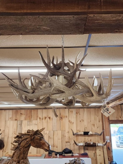 Whitetail Deer Antler Chandelier