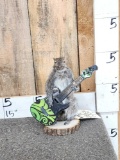 Rock & Roll Squirrel Playing Guitar Taxidermy