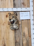 Reproduction Jaguar Shoulder Mount Taxidermy