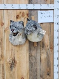 Pair Of Reproduction Snow Leopards