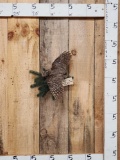 Eurasian Scops Owl In Flight Bird Taxidermy