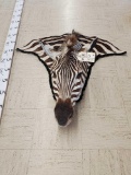 Apartment Size Zebra Rug Taxidermy