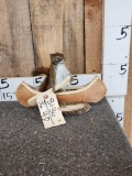 Squirrel In A Birch Bark Canoe Taxidermy