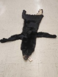 Soft Tanned Black Bear Skin Taxidermy