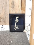 Squirrel Articulated Skelton Taxidermy