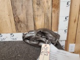 Painted Alaskan Grizzly Bear Skull Taxidermy