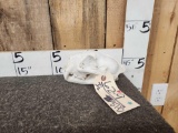 Mountain Lion Cougar Skull Taxidermy