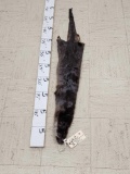 Tanned Otter Fur Taxidermy