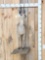African Grey Rhebok Antelope Half Body Taxidermy Mount