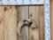 Hand Carved Bighorn Sheep Horn Taxidermy Artwork