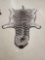 Pretty Burchell's Zebra Rug Taxidermy