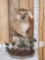 Mountain Lion Cougar Table Top Pedestal Taxidermy Mount