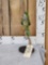 Quaker Parrot Full Body Bird Taxidermy