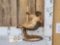 Squirrel On A Stripper Pole Taxidermy