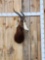 African Blesbok Shoulder Mount Taxidermy