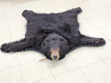 Cool Little Black Bear Rug Taxidermy