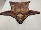 Cinnamon Phase Black Bear Rug Taxidermy