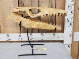 Mosasaur Dinosaur Skull Fossil