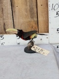 Aracari Toucan Full Body Bird Taxidermy