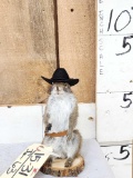 Sheriff Squirrel Taxidermy Mount