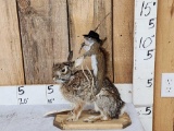 Cowboy Squirrel Riding A Rabbit Taxidermy