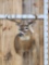 4x4 Whitetail Shoulder Mount Taxidermy